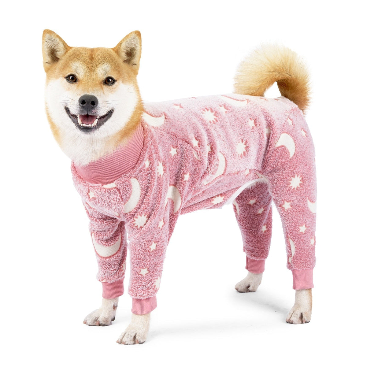 Dog wearing Petmiva apparel