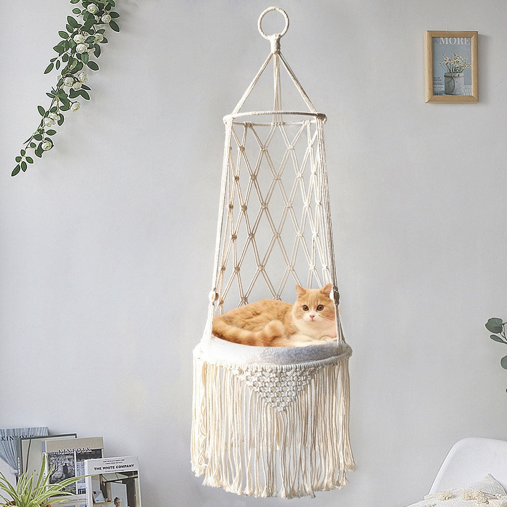 Cat resting in a Petmiva hammock
