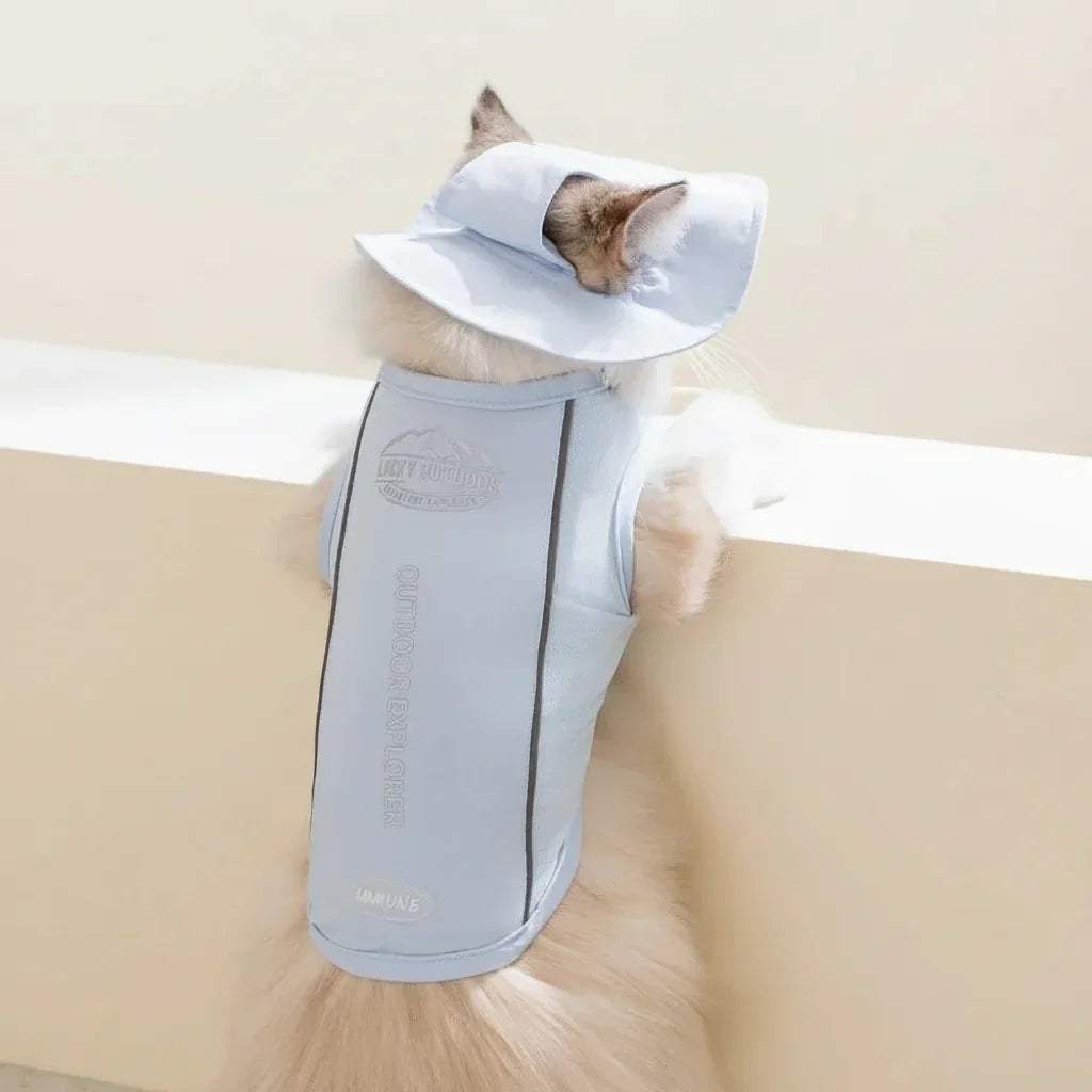New arrival pet apparel