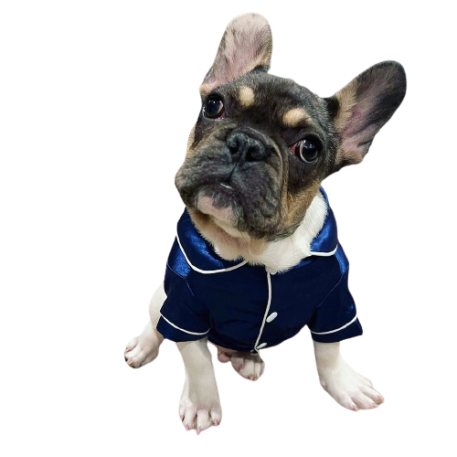 Petmiva Louis Pajama for Dogs & Cats – Cozy PJ Clothing