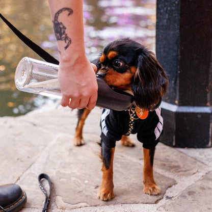 Petmiva Portable Water Bowl Outdoor Hydration for Dogs & Cats