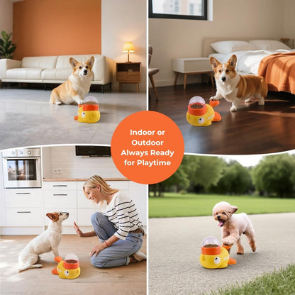 Duck Treat Dispenser