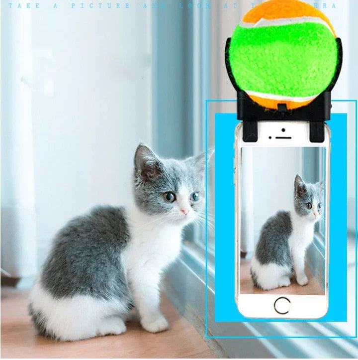 Petmiva Selfie Ball Pet Photo Accessory for Dogs & Cats