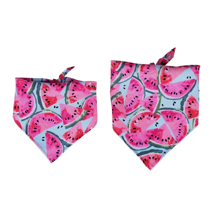 Petmiva Pink Watermelon Bandana for Dogs & Cats