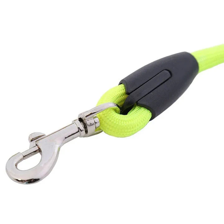 Petmiva Rainbow Leash for Dogs & Cats – Colorful Walking Lead