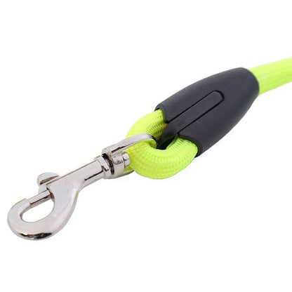 Petmiva Rainbow Leash for Dogs & Cats – Colorful Walking Lead