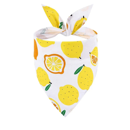 Petmiva Large Lemons Pet Outfit for Dogs & Cats