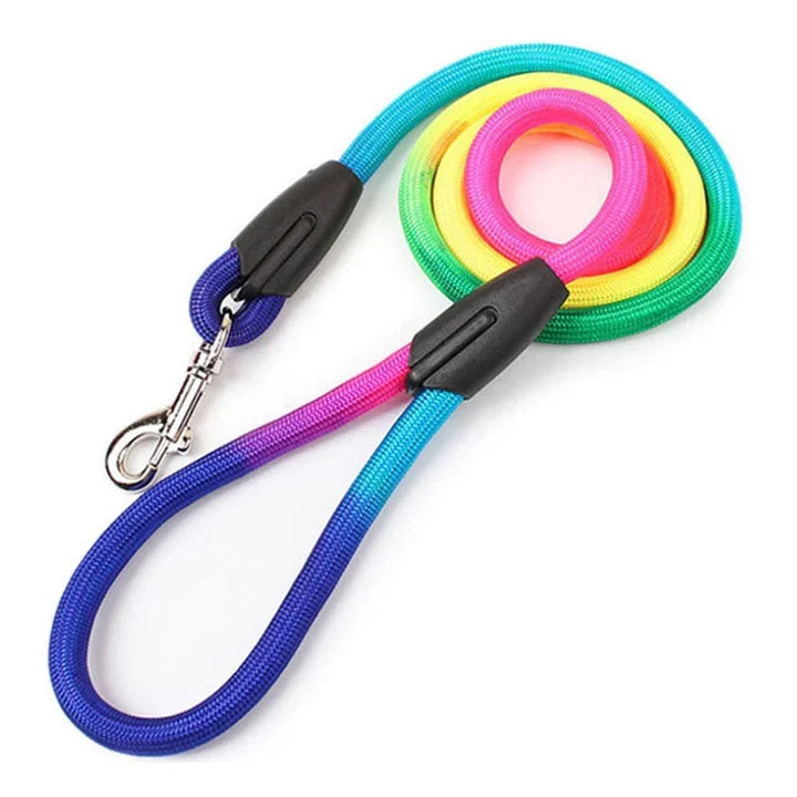 Petmiva Rainbow Leash for Dogs & Cats – Colorful Walking Lead