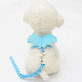 Petmiva Wings Colorful Pet Dress for Dogs & Cats