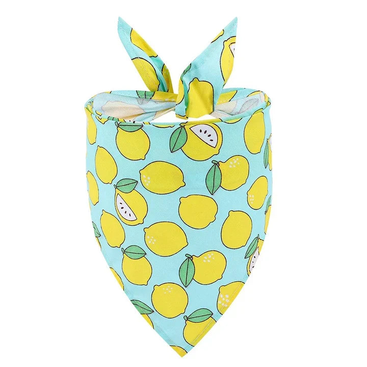 Petmiva Lemon Pet Outfit for Dogs & Cats