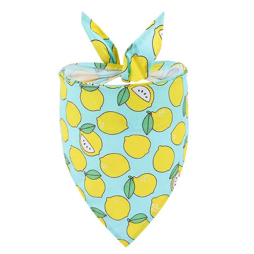 Petmiva Lemon Pet Outfit for Dogs & Cats
