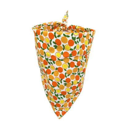 Petmiva Orange Pet Outfit for Dogs & Cats