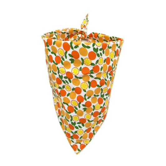 Petmiva Orange Pet Outfit for Dogs & Cats