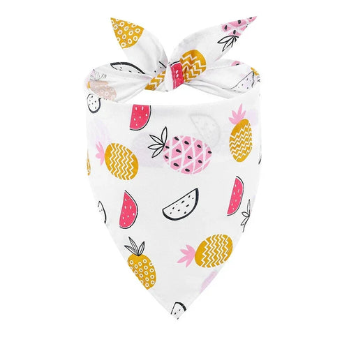 Petmiva Fruits Pet Outfit for Dogs & Cats
