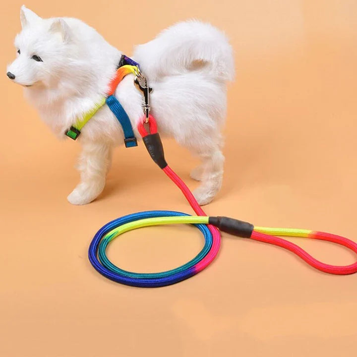 Petmiva Rainbow Leash for Dogs & Cats – Colorful Walking Lead
