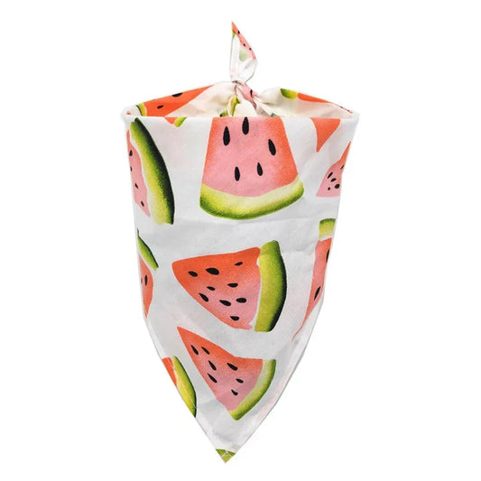 Petmiva Large Watermelon Pet Outfit for Dogs & Cats