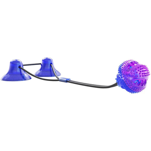 Petmiva Rosie Interactive Suction Cup Tug Toy for Dogs & Cats