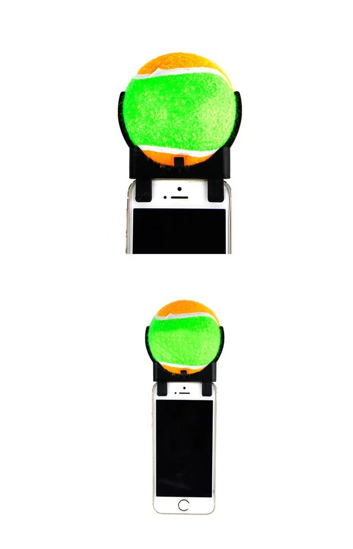 Petmiva Selfie Ball Pet Photo Accessory for Dogs & Cats