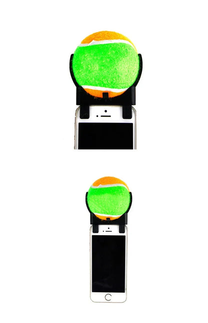 Petmiva Selfie Ball Pet Photo Accessory for Dogs & Cats
