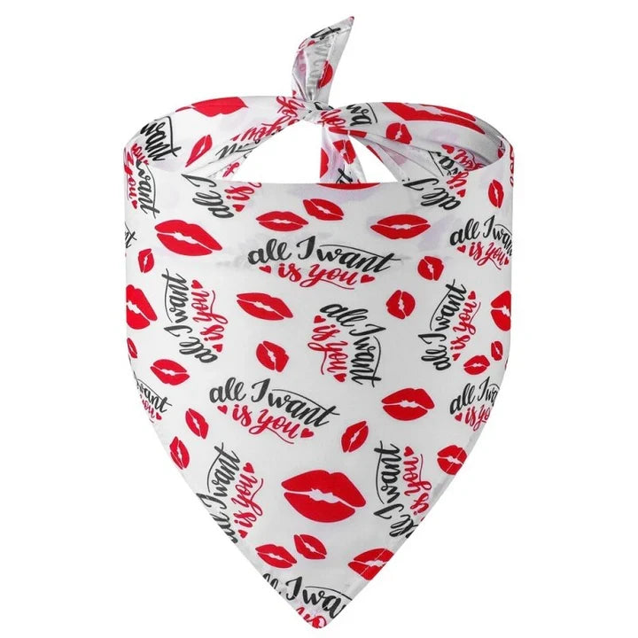 Petmiva More Love Pet Outfit for Dogs & Cats