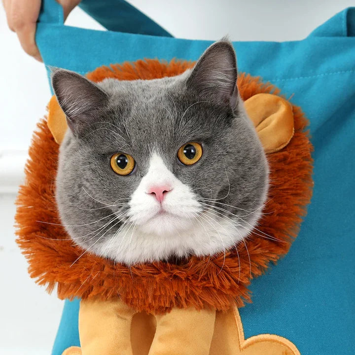 Lion Carrier Bag for Dogs & Cats – Travel Pet Bag