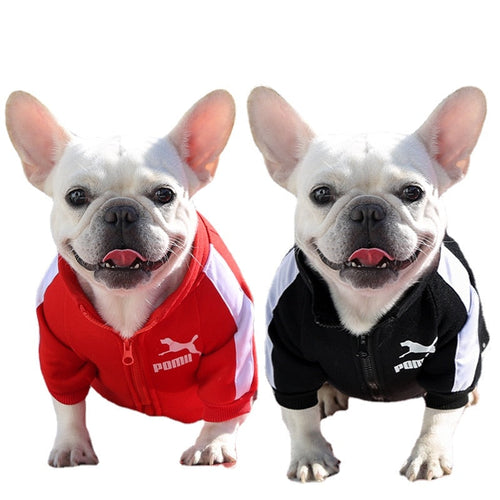 Designer jacket