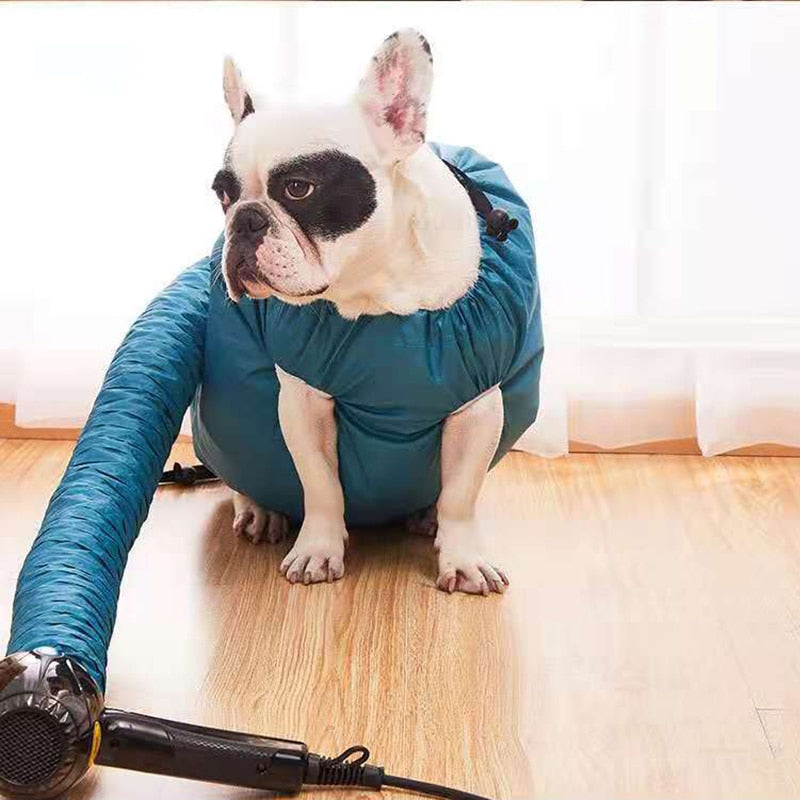 Petmiva Milo Pet Dryer for Dogs & Cats – Grooming Blow Dryer