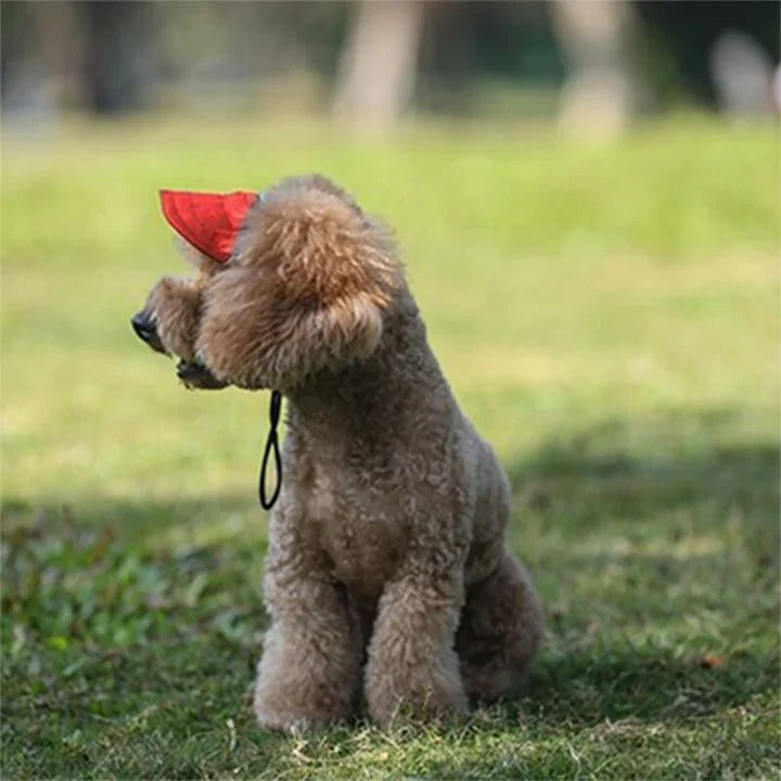 Petmiva Pet Cap Sun Hat for Dogs & Cats