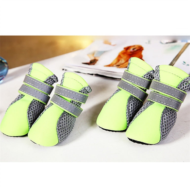 Jogging Shoes