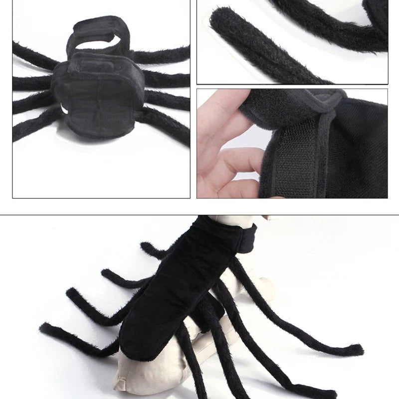 Petmiva Web Spinner Halloween Spider Costume for Dogs & Cats