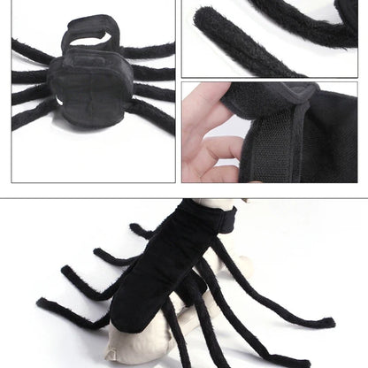 Petmiva Web Spinner Halloween Spider Costume for Dogs & Cats