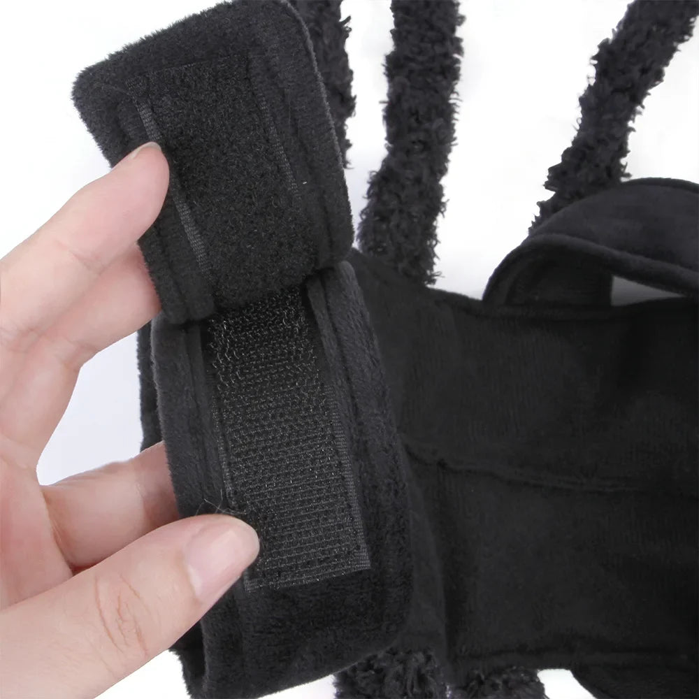 Petmiva Web Spinner Halloween Spider Costume for Dogs & Cats