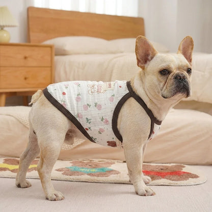 Petmiva Bearly Pet Outfit for Dogs & Cats – Cute Bear Design