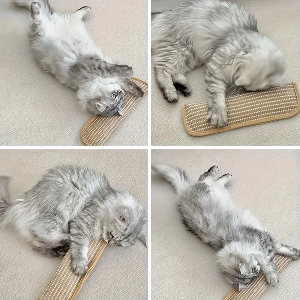 Petmiva ScratchPad Cat Scratching Pad for Cats – Interactive Toy