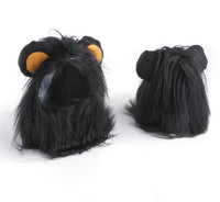 Lion black