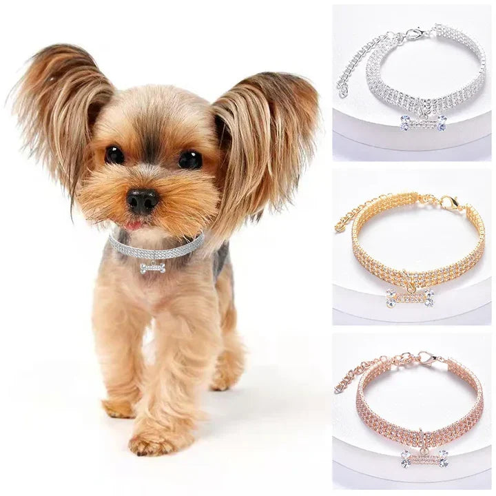 Petmiva Necklace Collar for Dogs & Cats – Pet Jewelry