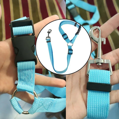 Petmiva Pet Car Seat Belt for Dogs & Cats – Safety Restraint