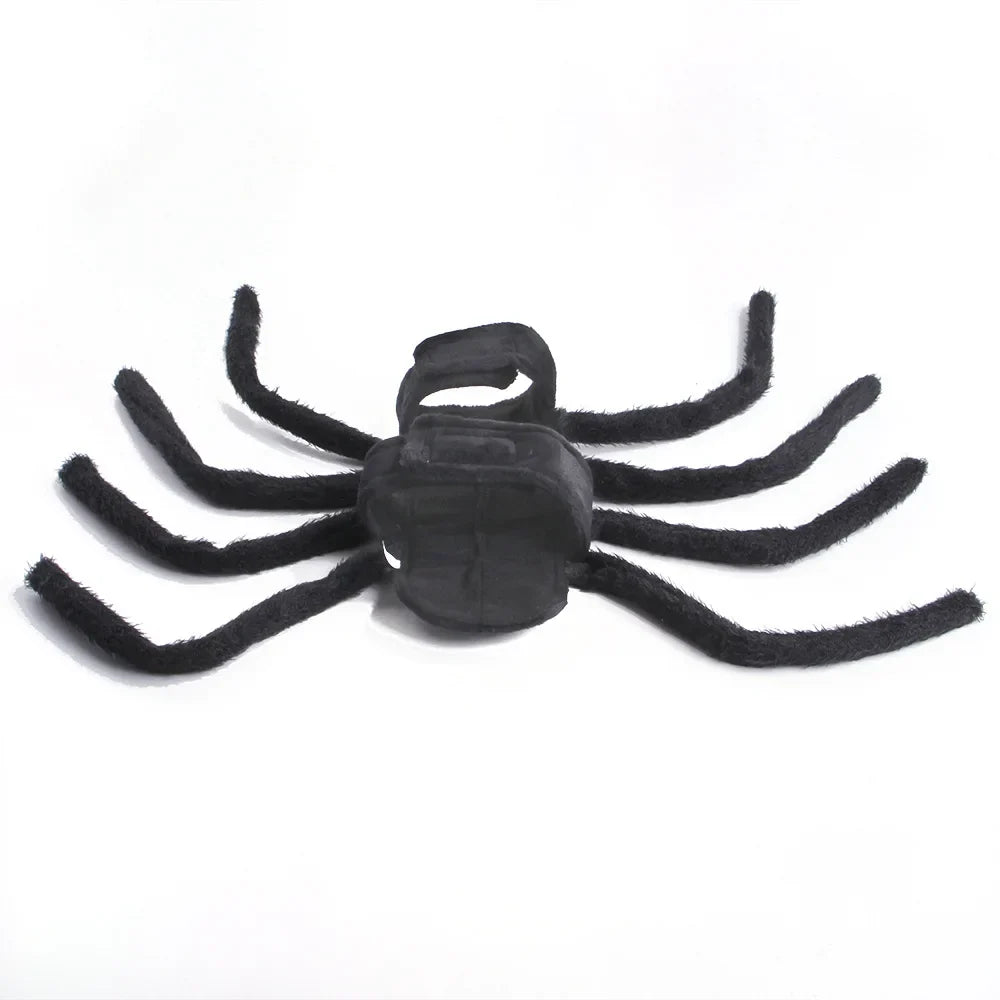 Petmiva Web Spinner Halloween Spider Costume for Dogs & Cats
