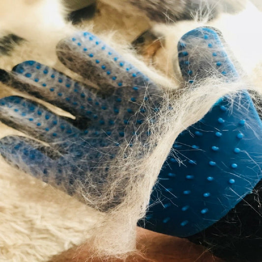 Petmiva Grooming Glove for Dogs & Cats – Deshedding Mitt