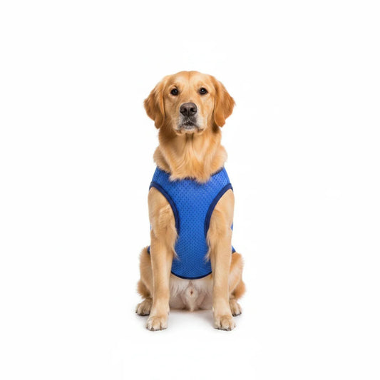 Petmiva Frosty Pet T-Shirt for Dogs & Cats – Casual Summer Clothing