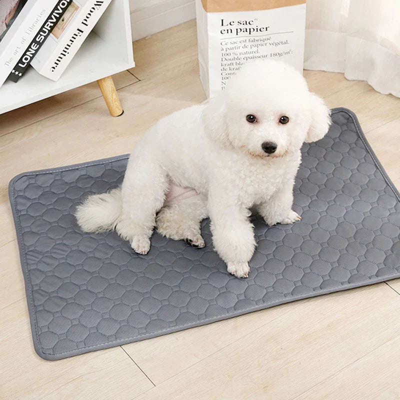 Petmiva Washable Pet Pee Pad Reusable Training Mat for Dogs & Cats