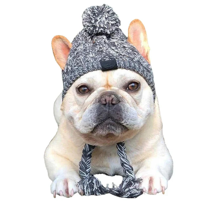 Petmiva Chihuu Pet Outfit for Dogs & Cats