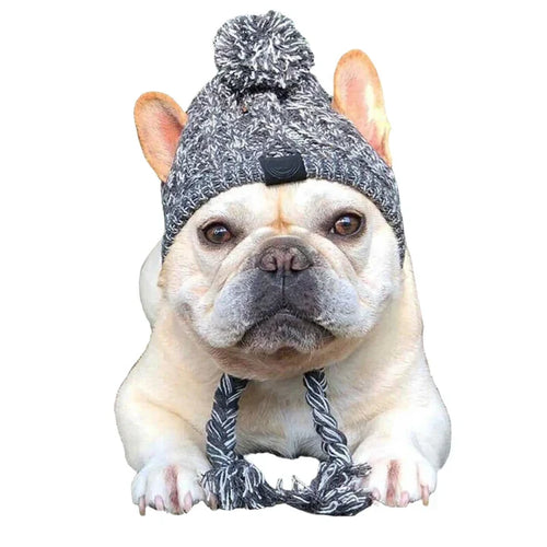 Petmiva Chihuu Pet Outfit for Dogs & Cats