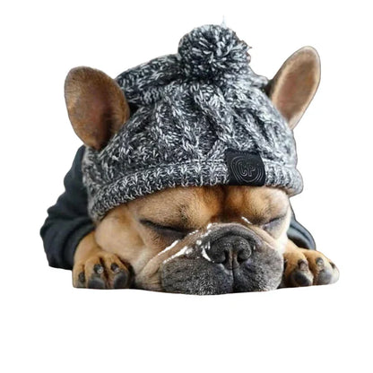 Petmiva Chihuu Pet Outfit for Dogs & Cats