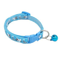 Cat sky blue