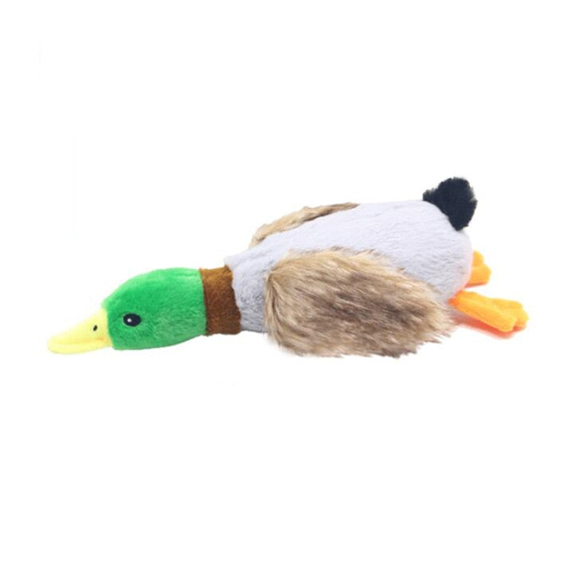 Petmiva Mr. Duck Plush Toy for Cats