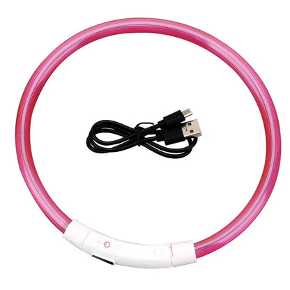 Petmiva LED Collar for Dogs & Cats – Light-Up Safety Collar