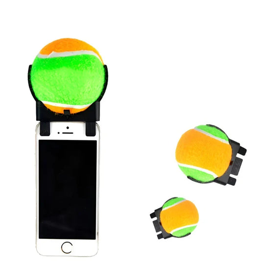 Petmiva Selfie Ball Pet Photo Accessory for Dogs & Cats