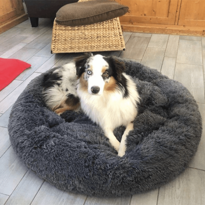 Petmiva Lotte Pet Bed for Dogs & Cats – Round Cushion