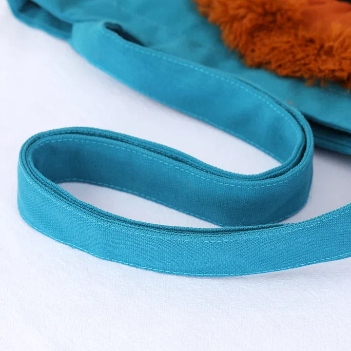 Lion Carrier Bag for Dogs & Cats – Travel Pet Bag